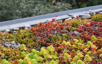 the cost of Monewden green roof installation