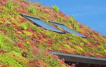Monewden living roof systems