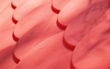 Monewden plastic roof costs