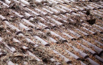 Monewden roof cleaning companies