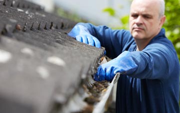 cleaning and inspecting Monewden roofs
