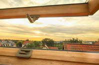 rated Monewden roof window companies