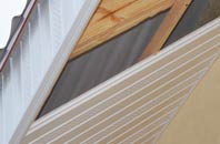 rated Monewden soffit repair companies